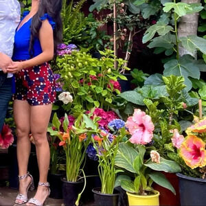 DVF circle high waisted shorts